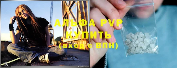 PSILOCYBIN Белокуриха