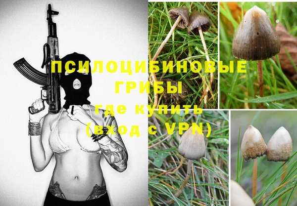 PSILOCYBIN Белокуриха