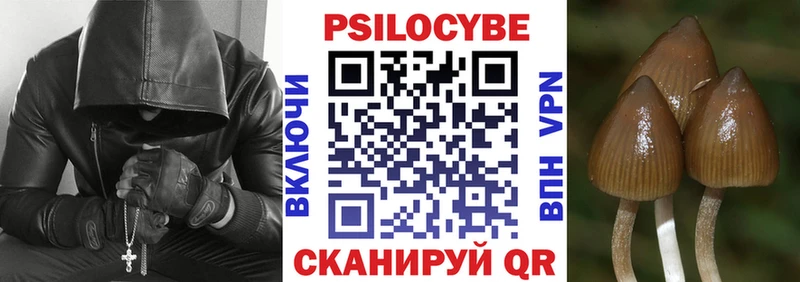 Псилоцибиновые грибы Psilocybe  Гай 