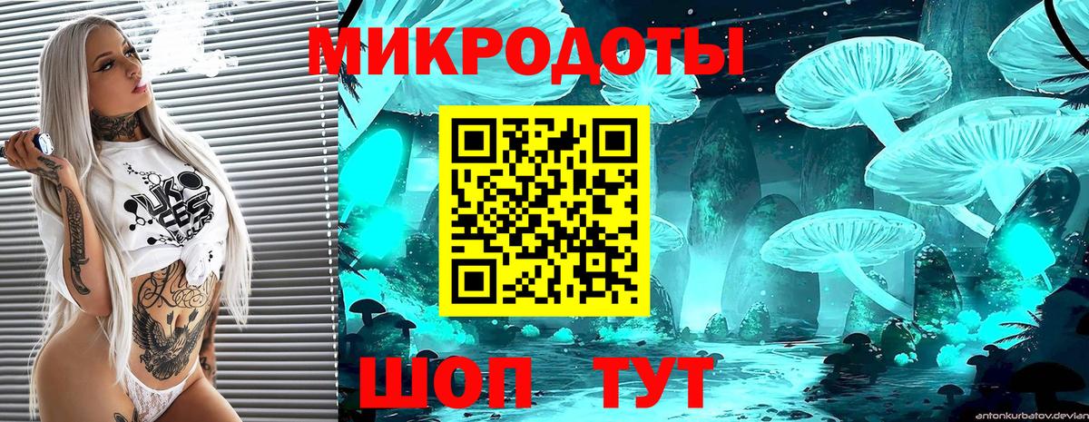 Псилоцибиновые грибы ЛСД  Вход с VPN  Гай  Псилоцибиновые грибы Psilocybine cubensis 