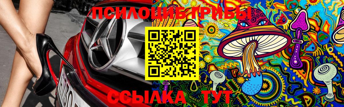 Псилоцибиновые грибы мицелий Гай