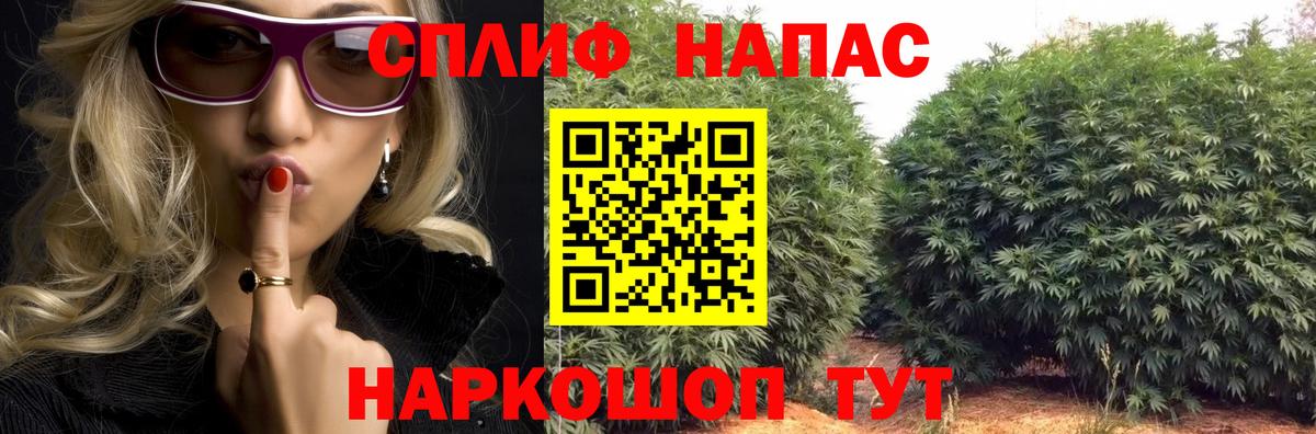 Шишки марихуана MAZAR  Канабис план  Гай 